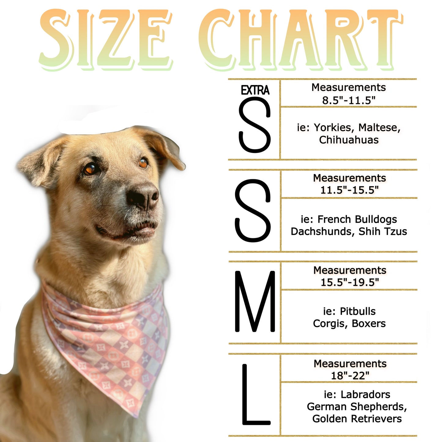 Venice Beach (flawed)