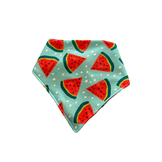 Watermelon Slices