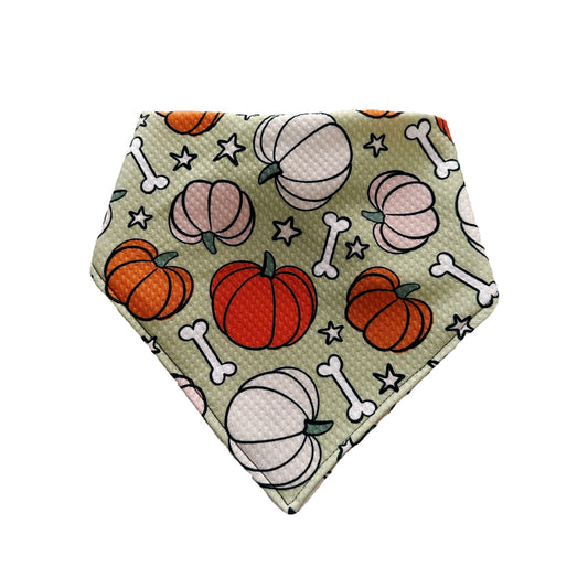 Pumpkins (Sage)
