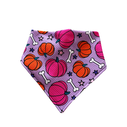Pumpkins (lavender)